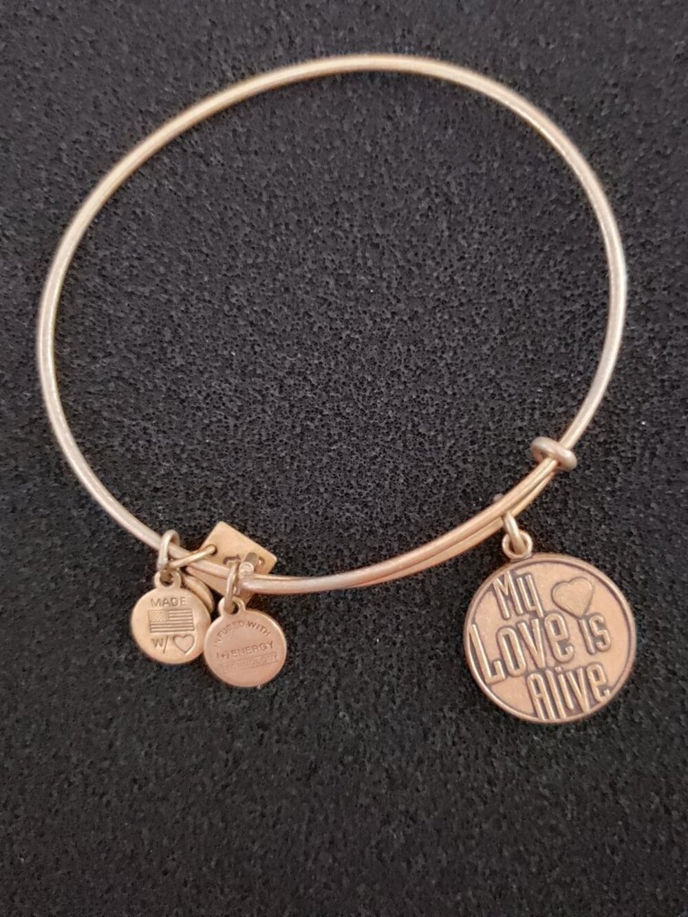 Alex and Ani Gold My Love is Alive Charm Bracelet Bangle 16